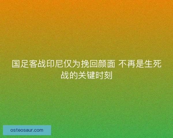 国足客战印尼仅为挽回颜面 不再是生死战的关键时刻 国足客战印尼仅为挽回颜面 不再是生死战的关键时刻