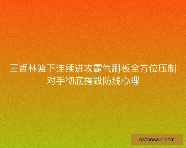 王哲林篮下连续进攻霸气刷板全方位压制对手彻底摧毁防线心理 王哲林篮下连续进攻霸气刷板全方位压制对手彻底摧毁防线心理