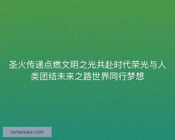 圣火传递点燃文明之光共赴时代荣光与人类团结未来之路世界同行梦想
