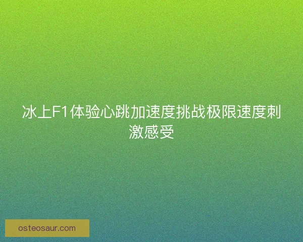 冰上F1体验心跳加速度挑战极限速度刺激感受