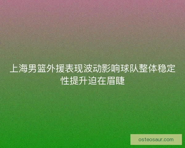 上海男篮外援表现波动影响球队整体稳定性提升迫在眉睫 上海男篮外援表现波动影响球队整体稳定性提升迫在眉睫